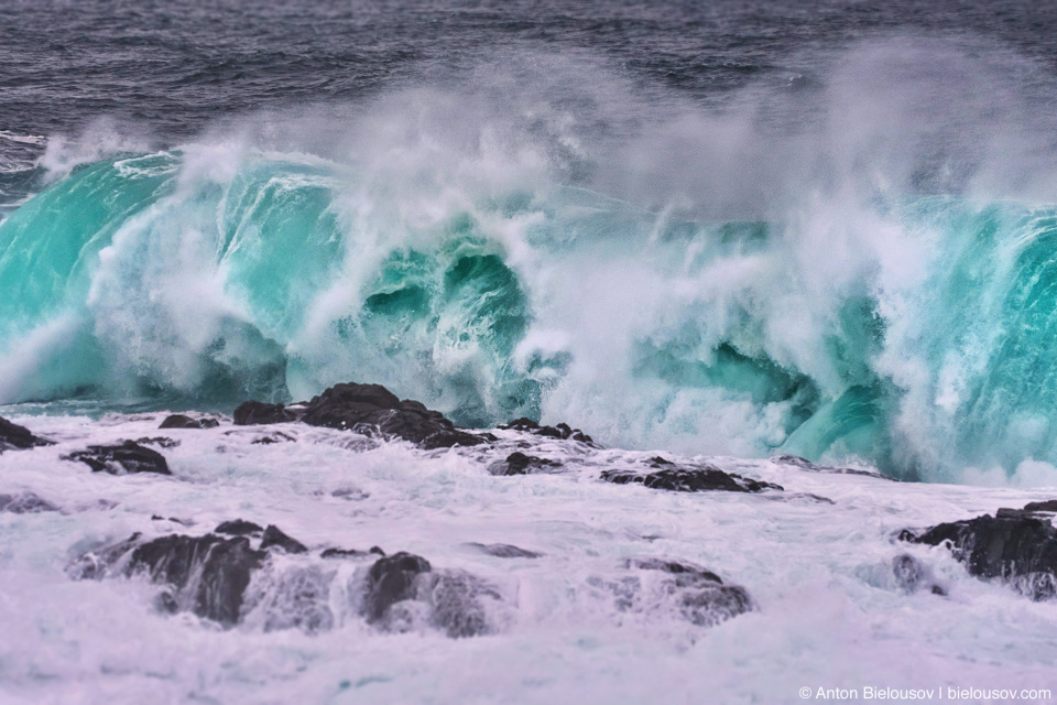 Storm Watching in Ucluelet, BC