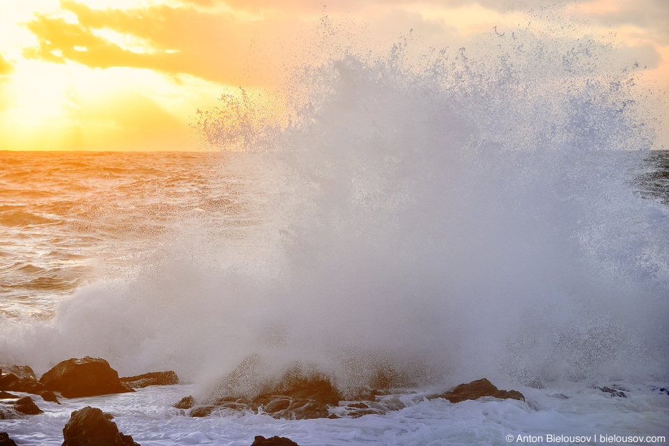 Storm Watching in Ucluelet, BC