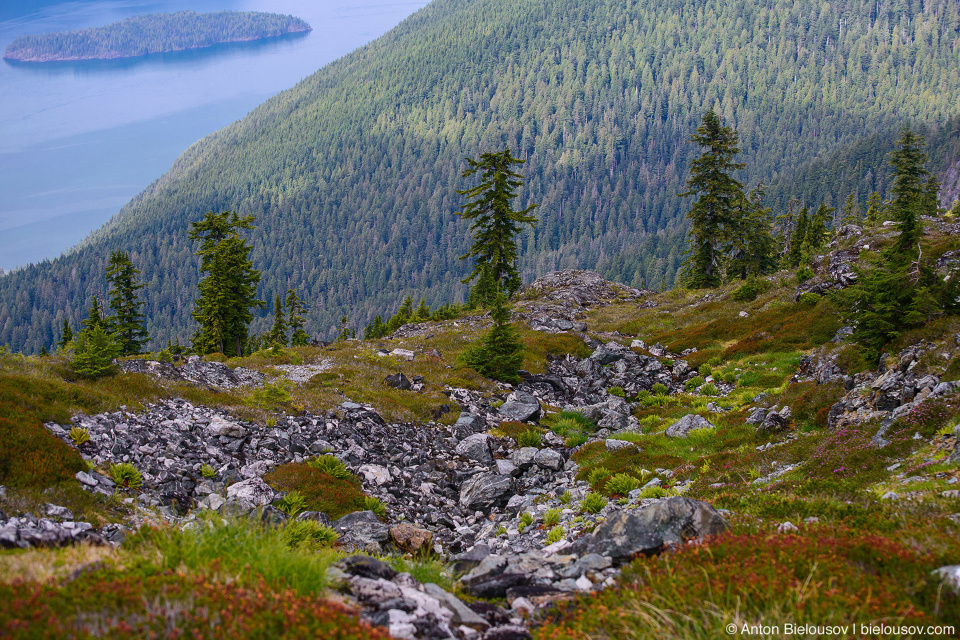 Golden Ears Peak trail view to Pitt Lake