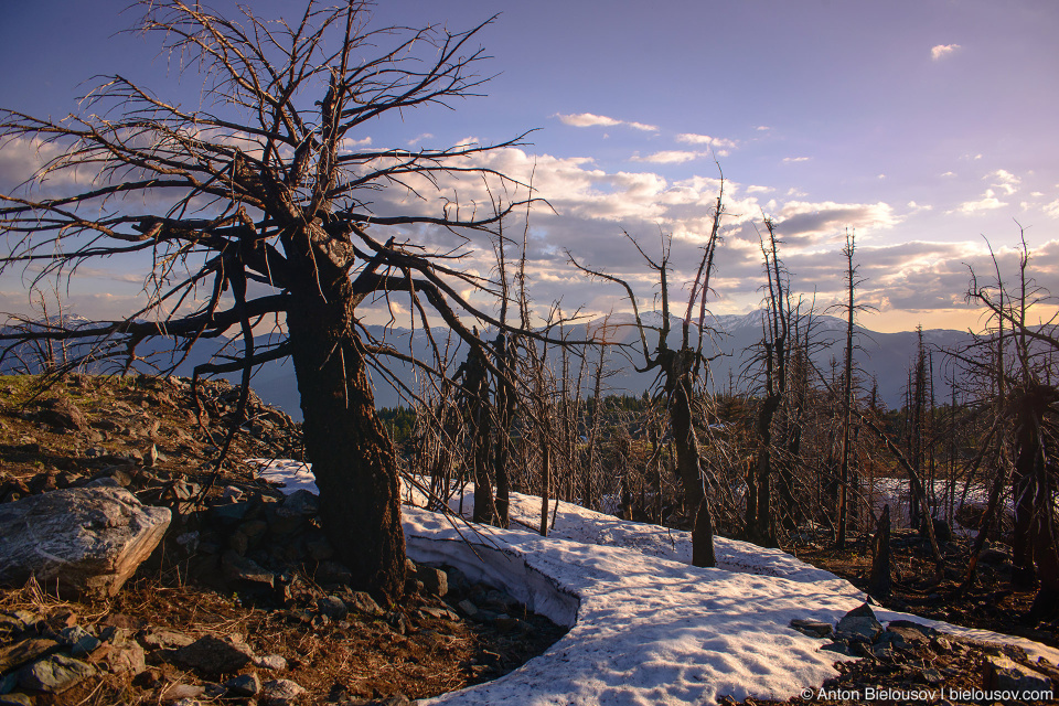 Mount Kobau (Osoyoos, BC)