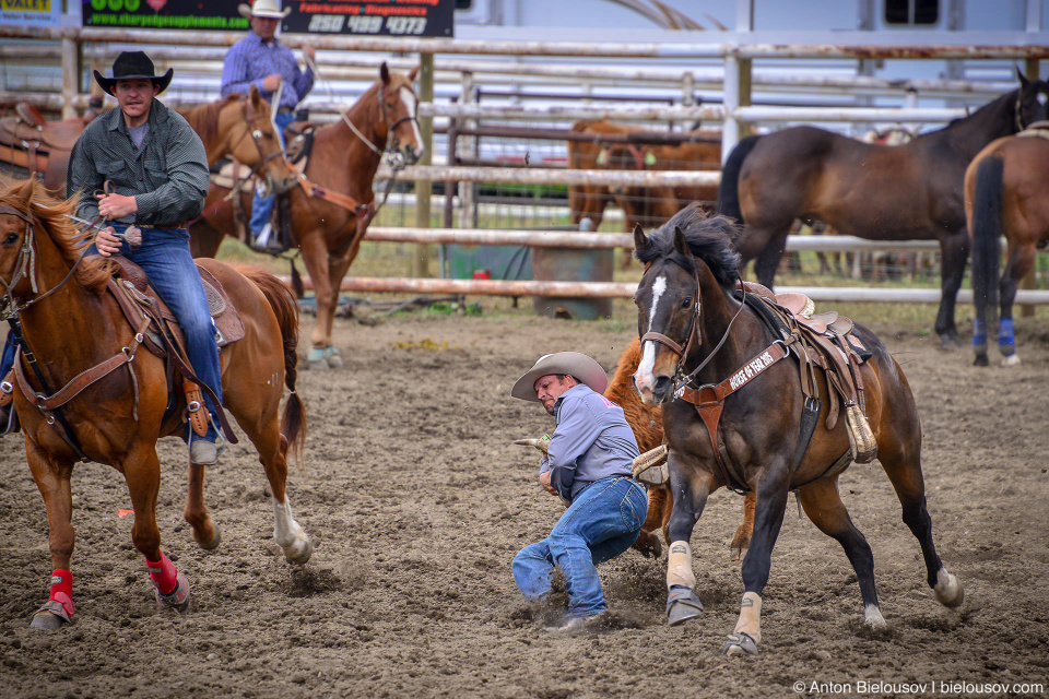 Rodeo in Keremeos, BC'