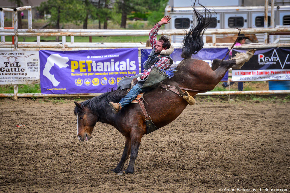 Rodeo in Keremeos, BC