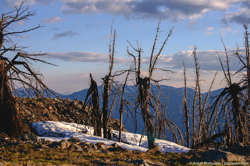 Mount Kobau (Osoyoos, BC)