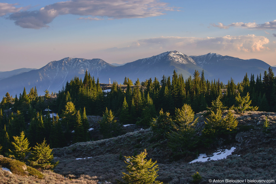 Mount Kobau (Osoyoos, BC)