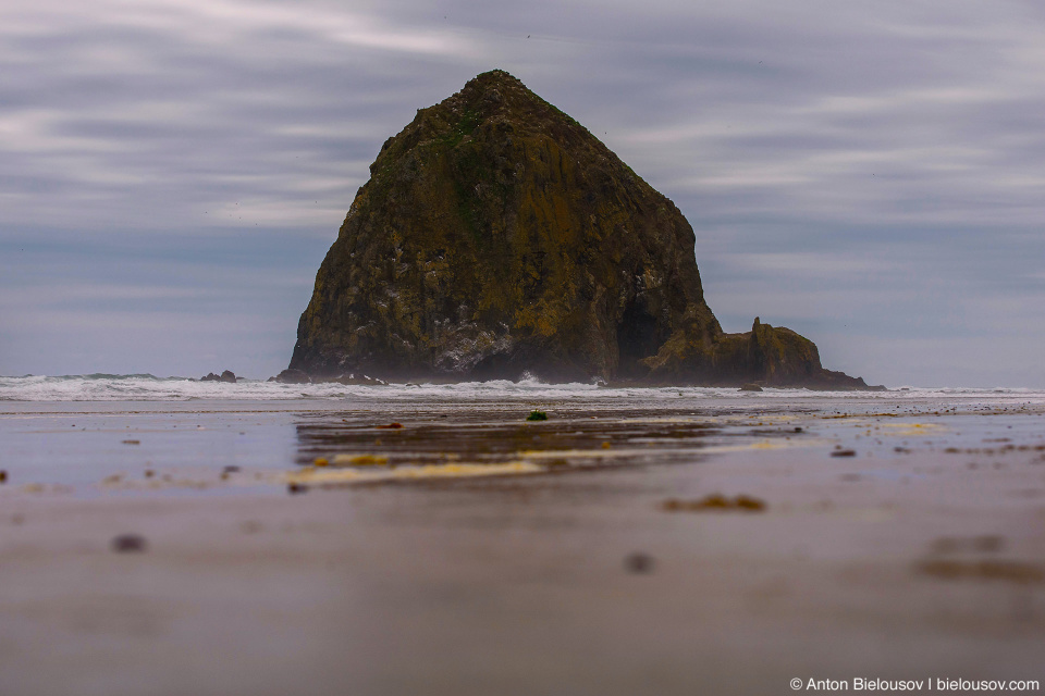 Haystack Rock, Cannon Beach, OR