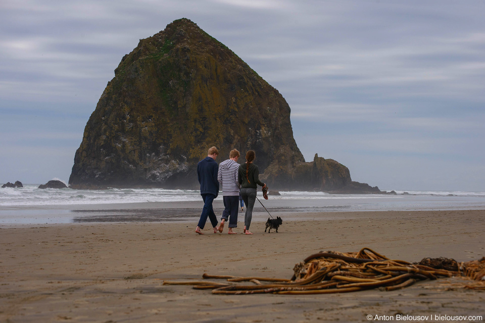 Haystack Rock, Cannon Beach, OR