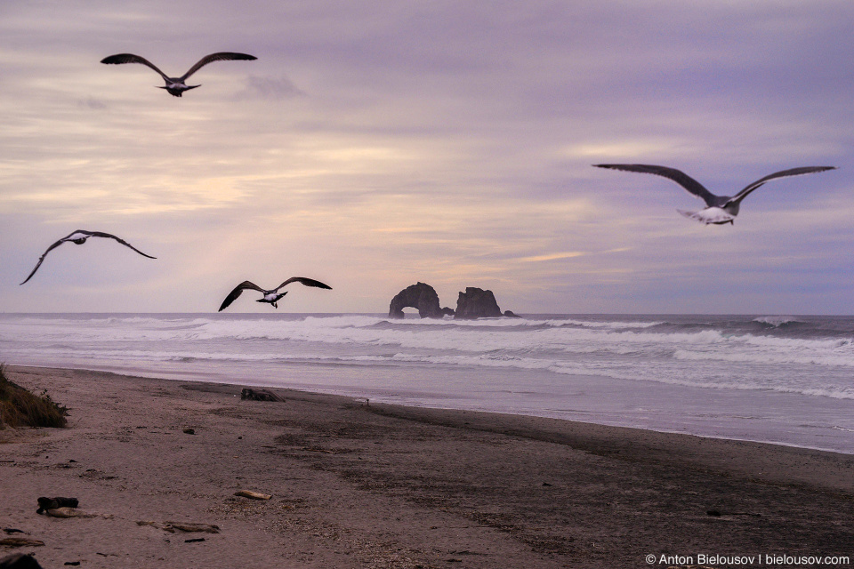 Twin Rocks, Rockaway Beach, OR