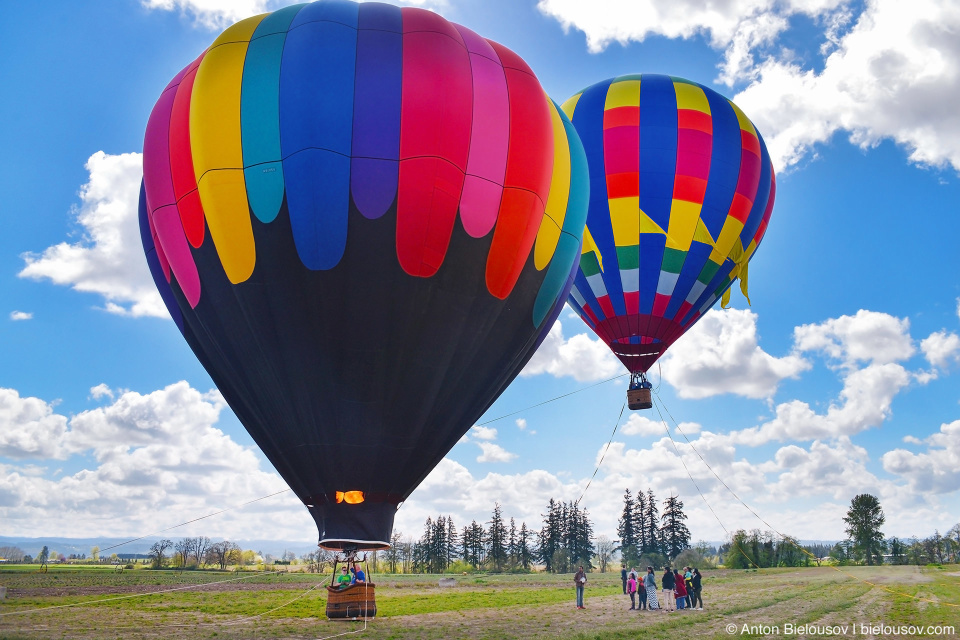 Hot air balloons at Wooden Shoe Tulip Fest