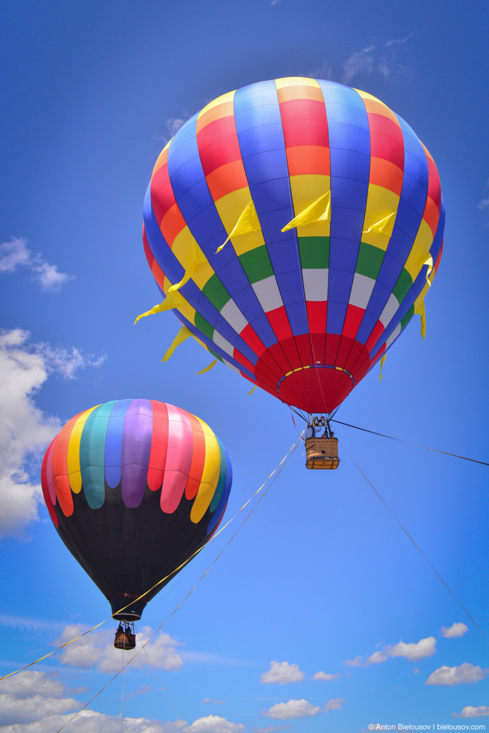 Hot air balloons at Wooden Shoe Tulip Fest