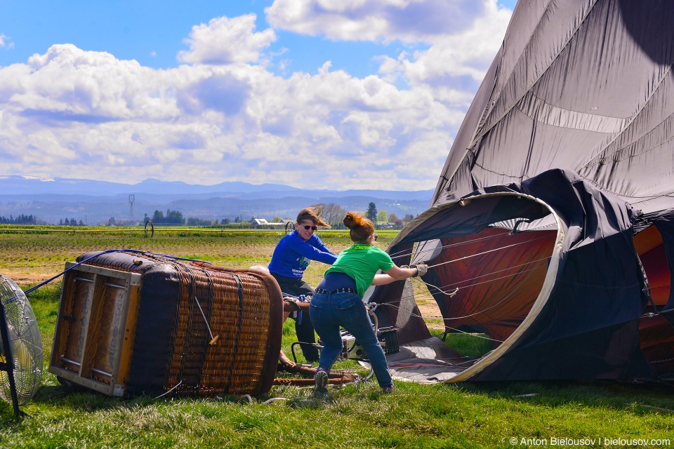 Hot air balloon at Wooden Shoe Tulip Fest