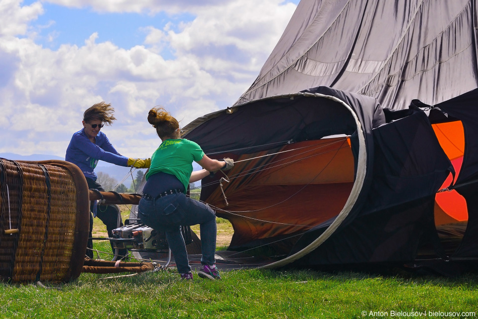 Hot air balloon at Wooden Shoe Tulip Fest