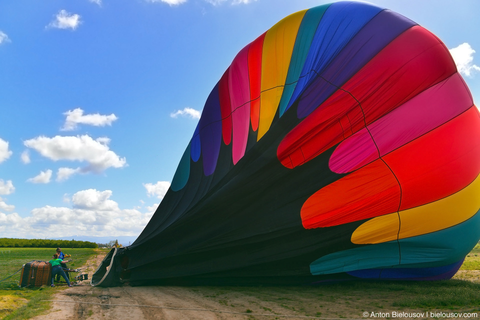 Hot air balloon at Wooden Shoe Tulip Fest