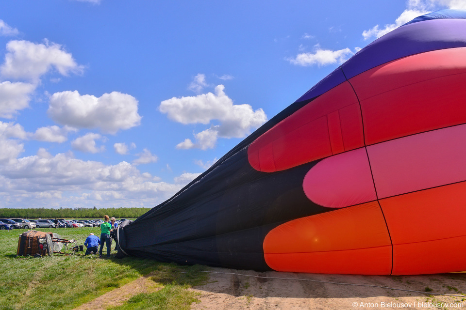 Hot air balloon at Wooden Shoe Tulip Fest