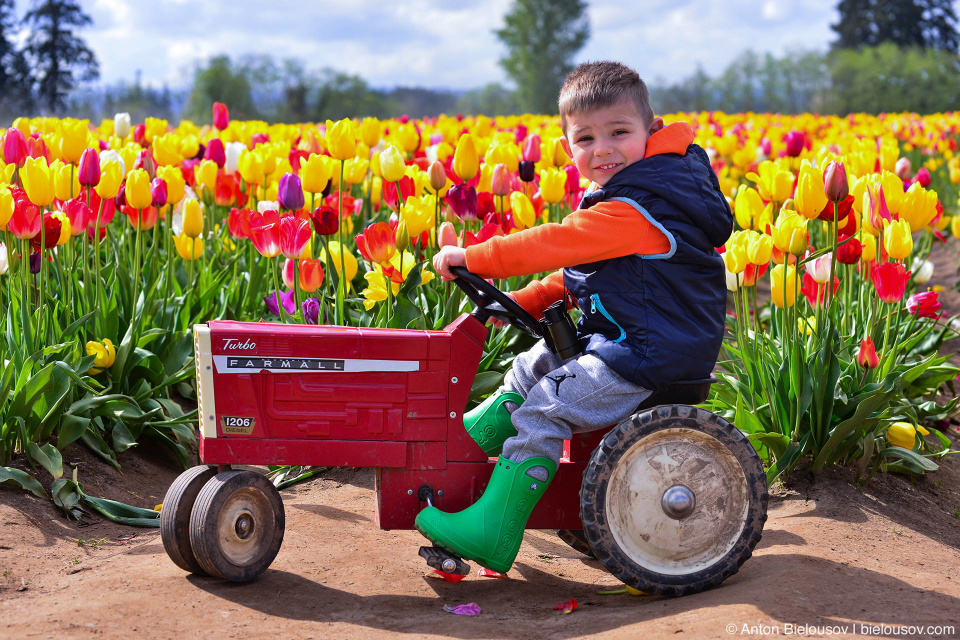 Rides at Wooden Shoe Tulip Fest