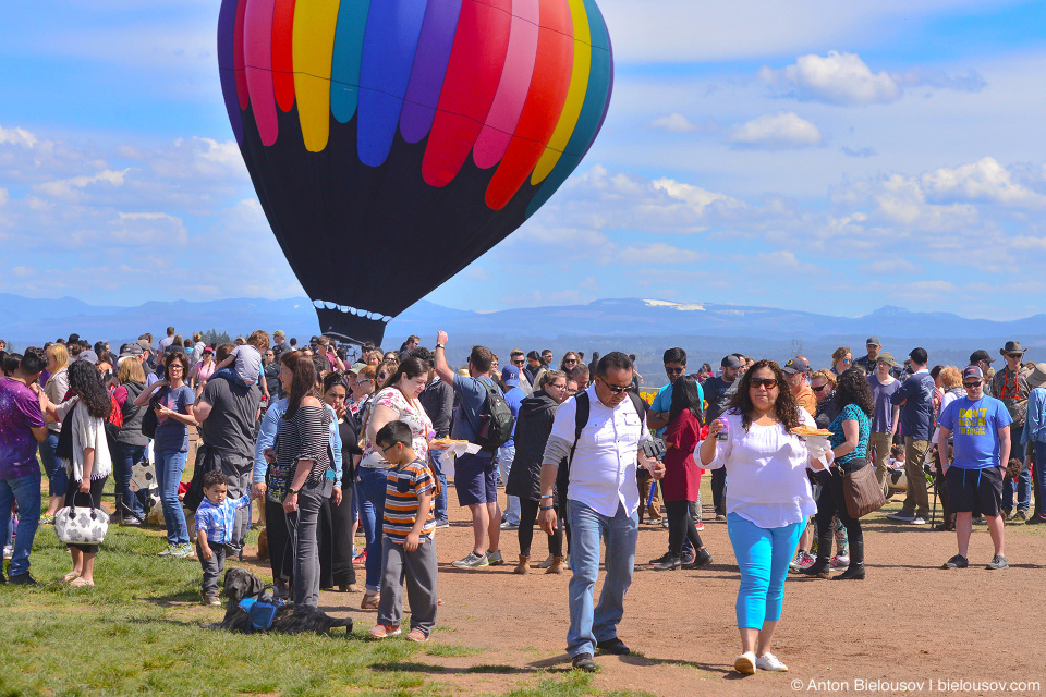 Hot air balloon at Wooden Shoe Tulip Fest