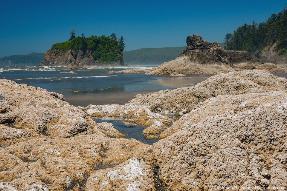 Abbey Island, Ruby Beach, Olympic National Park, WA