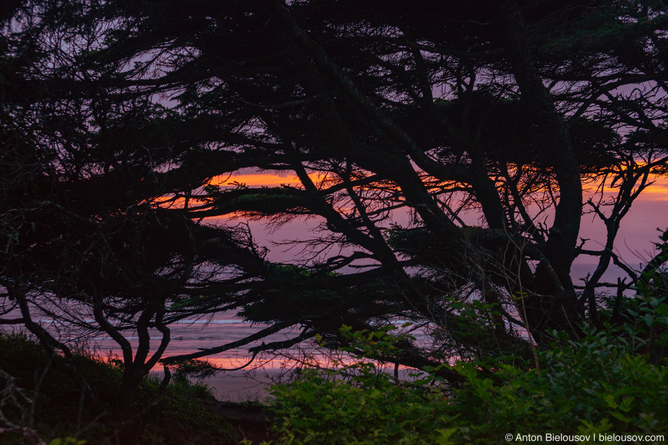 Kalaloch Beach, Olympic National Park, WA