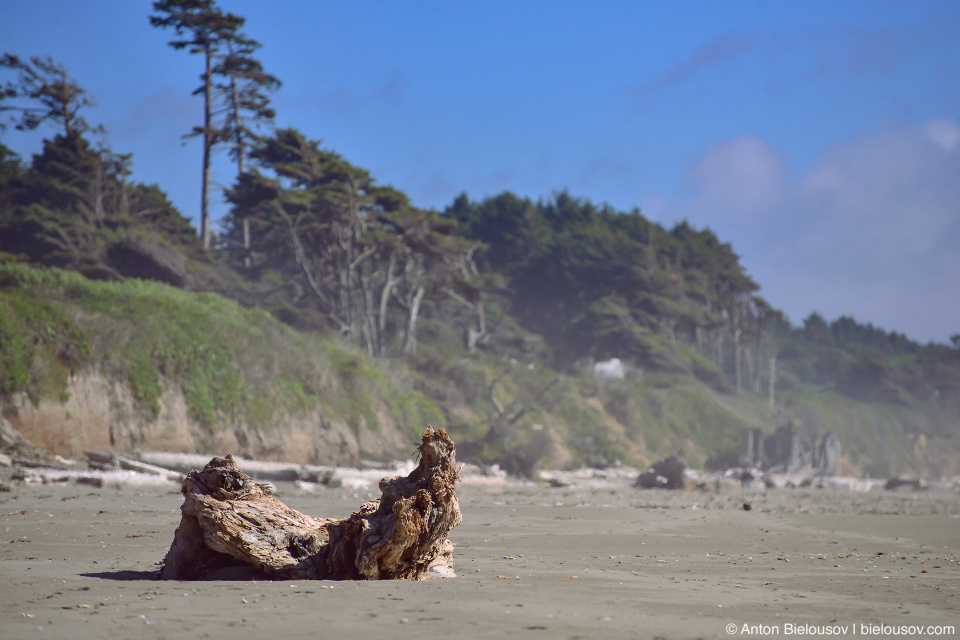 Kalaloch Beach, Olympic National Park, WA