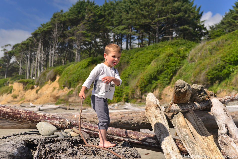 Kalaloch Beach, Olympic National Park, WA