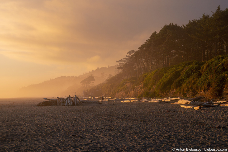 Kalaloch Beach, Olympic National Park, WA