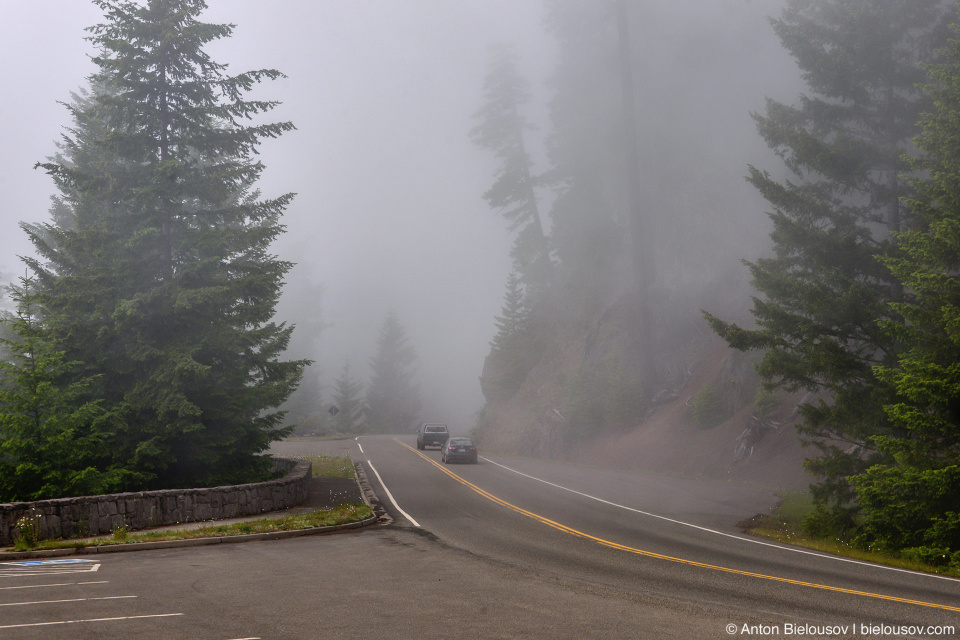 Road to Hurricane Ridge, Olympic National Park, WA