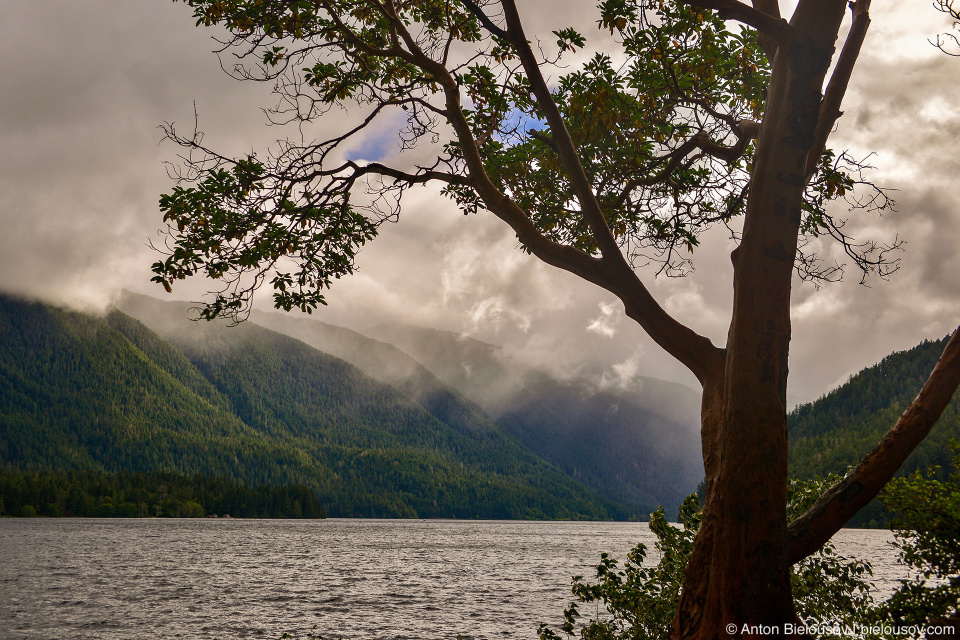 Crescent Lake, Olympic National Park, WA