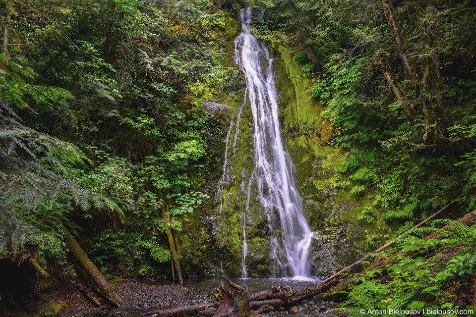 Waterfall, Olympic National Park, WA