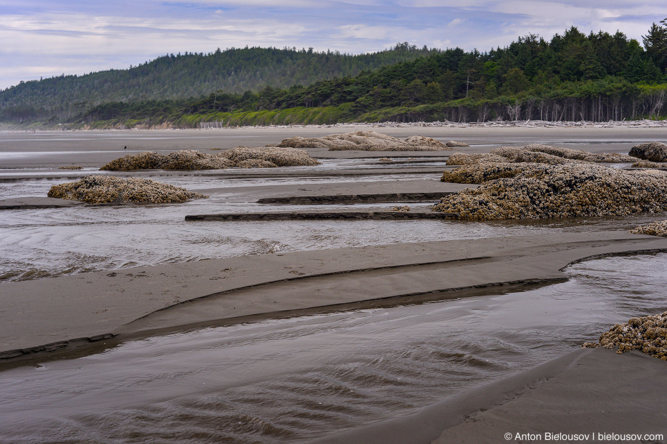 Tidal pools at Rubby Beach, Olympic National Park, WA