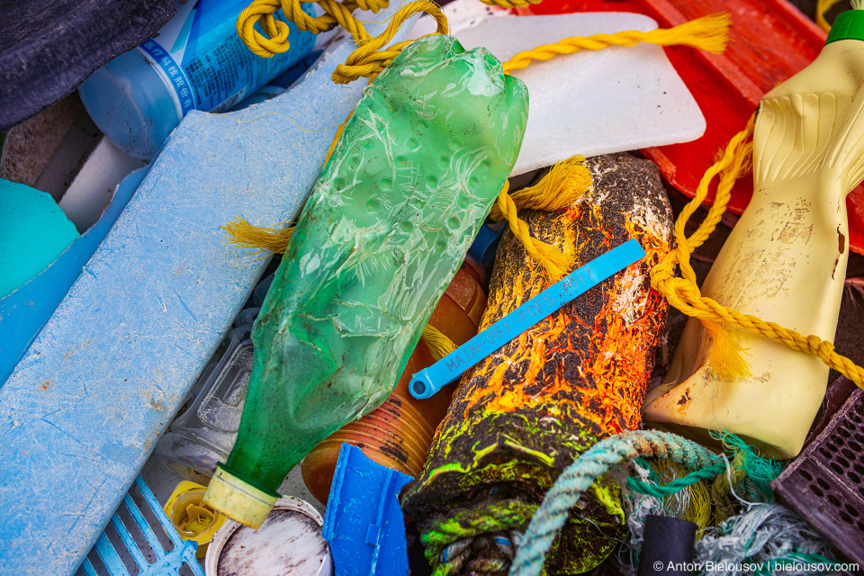 Garbage on the beach, Olympic National Park, WA