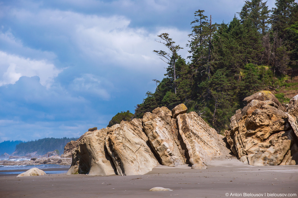 Browns Point, Kalaloch Beach, Olympic National Park, WA