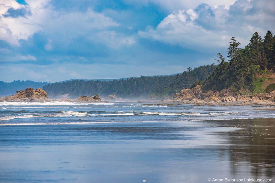 Kalaloch Beach, Olympic National Park, WA