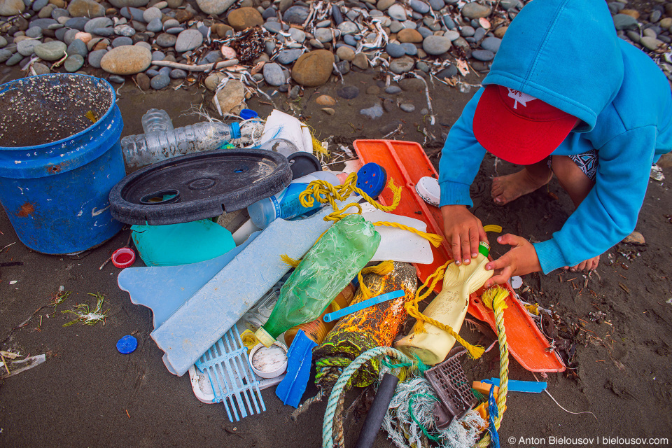 Picking garbage at the Ruby beach, Olympic National Park, WA