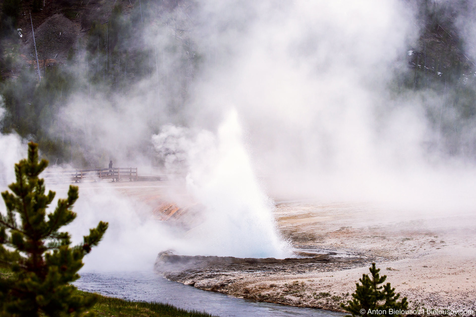 Cliff Geyser — Yellowstone, NP