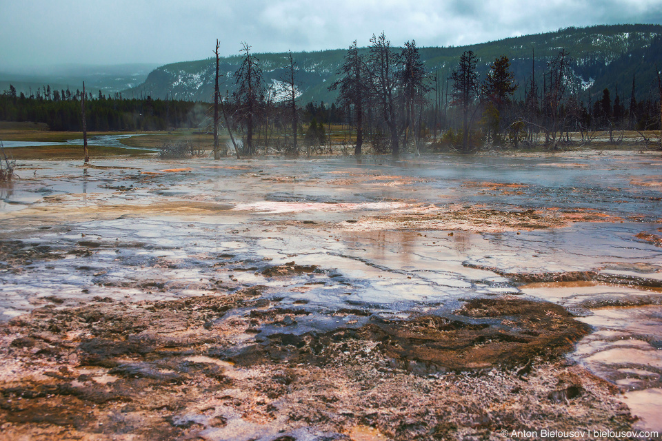 Biscuit Basin hot streams — Yellowstone, NP