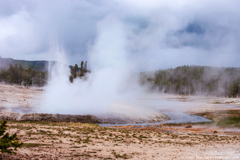 Cliff Geyser — Yellowstone, NP