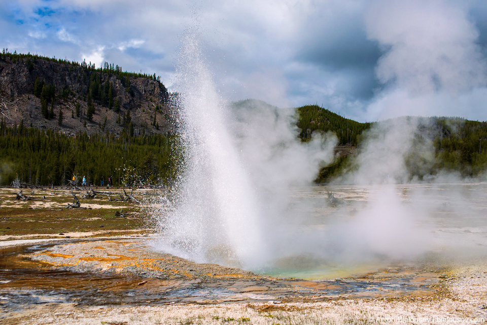 Jewel Geyser — Yellowstone, NP