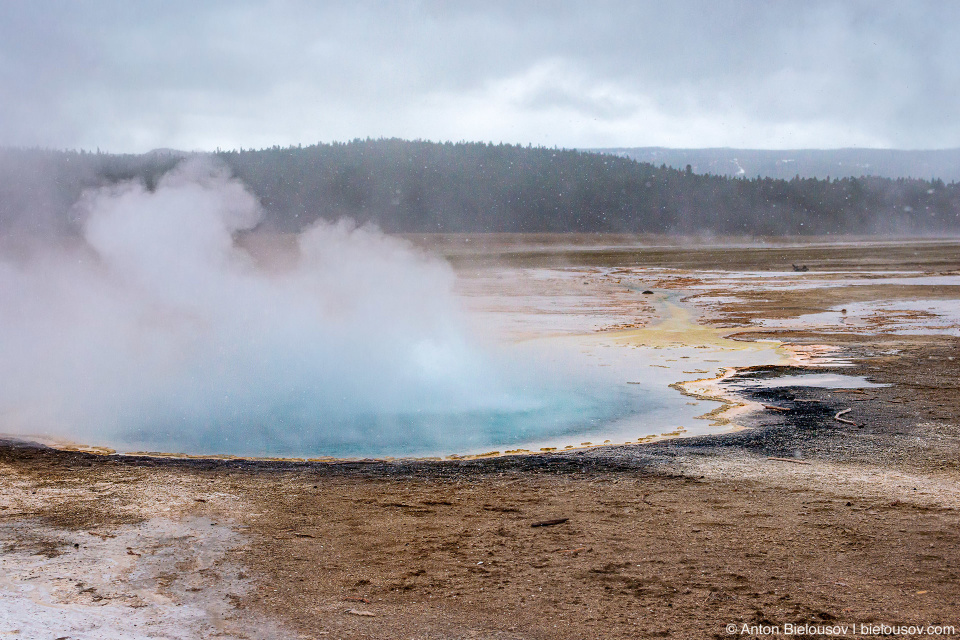 Celestine Pool — Yellowstone, NP