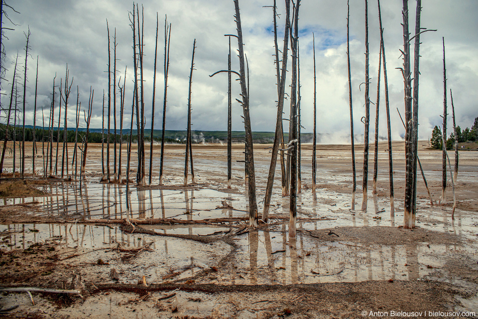 Lower Geyser Basin — Yellowstone, NP