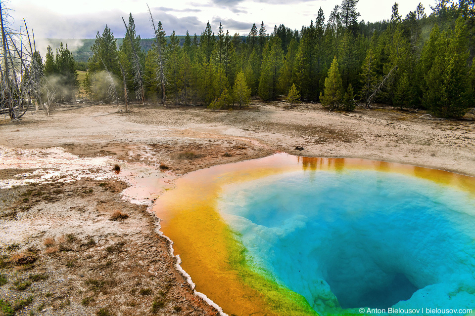 Morning Glory Pool — Yellowstone, NP