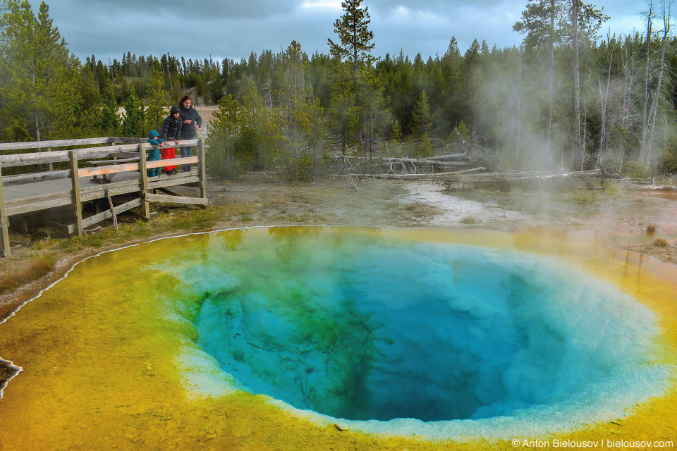 Morning Glory Pool — Yellowstone, NP