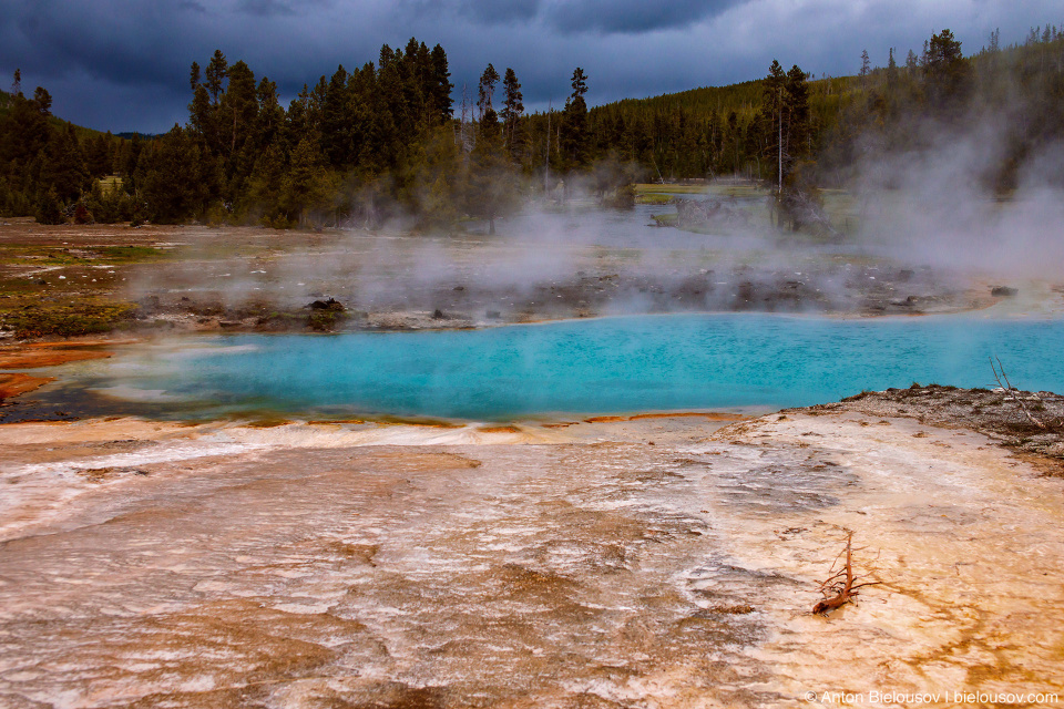 Wall Pool — Yellowstone, NP