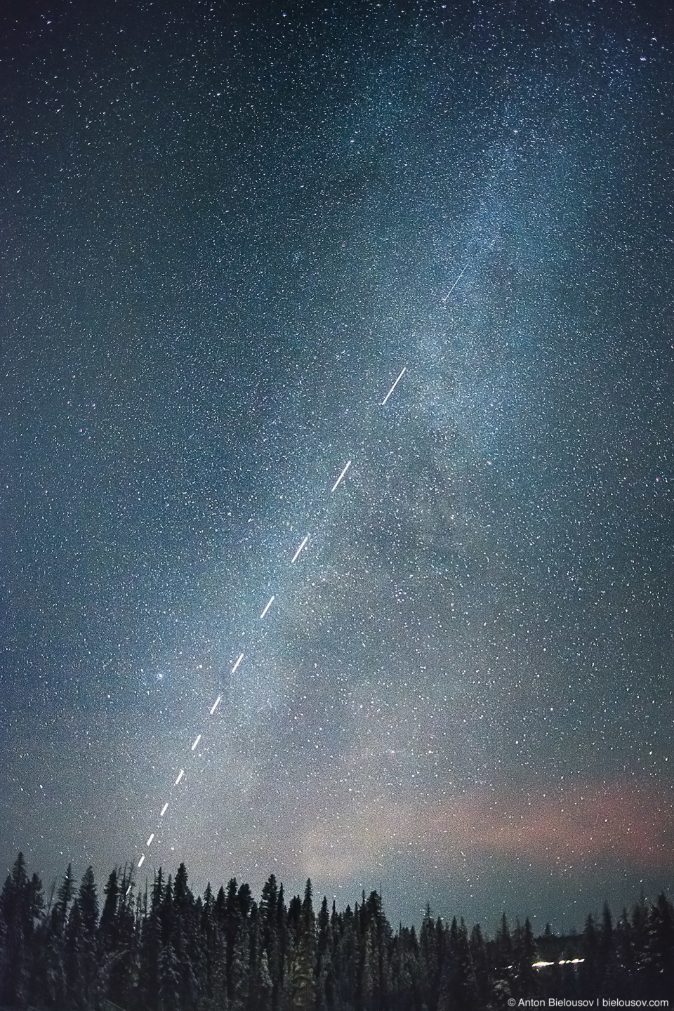 Space X Starlink