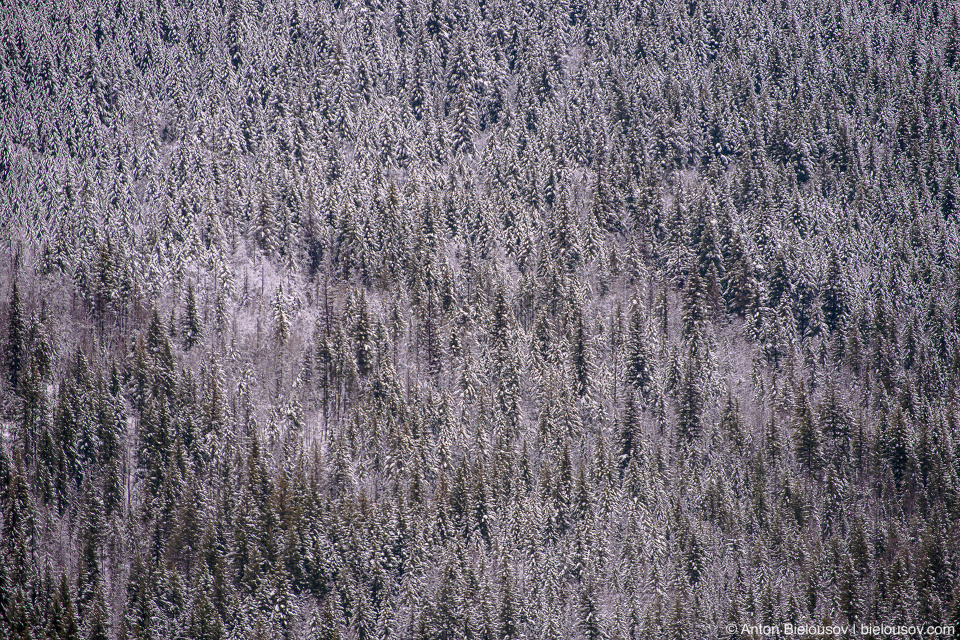 Spahats Creek Falls Lookout, Wells Gray Provincial Park, BC