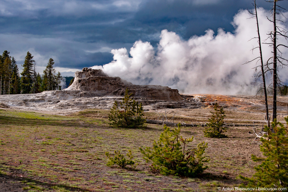 Castle Geyser — Yellowstone, NP