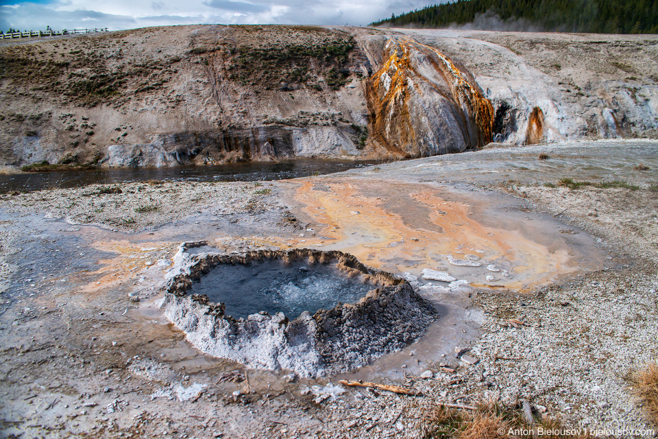 Chinese Spring — Yellowstone, NP