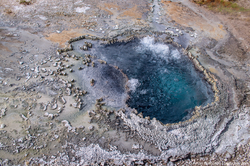 Chinese Spring — Yellowstone, NP