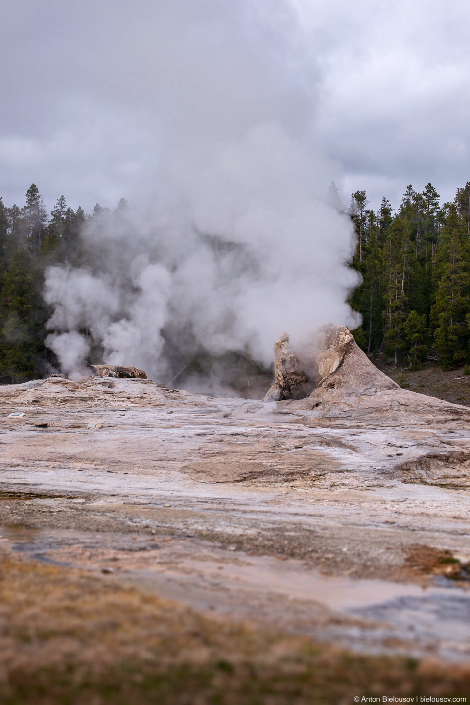 Giant Geyser & Bijou Geyser — Yellowstone, NP