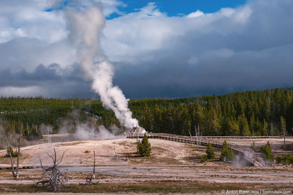 Castle Geyser — Yellowstone, NP