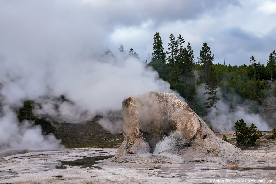 Giant Geyser — Yellowstone, NP