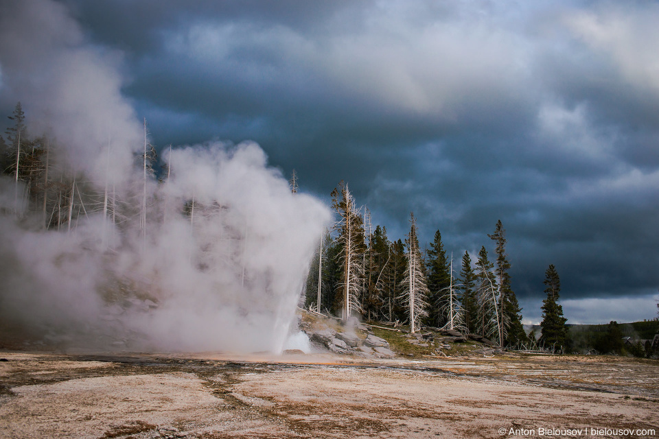 Great Geyser — Yellowstone, NP